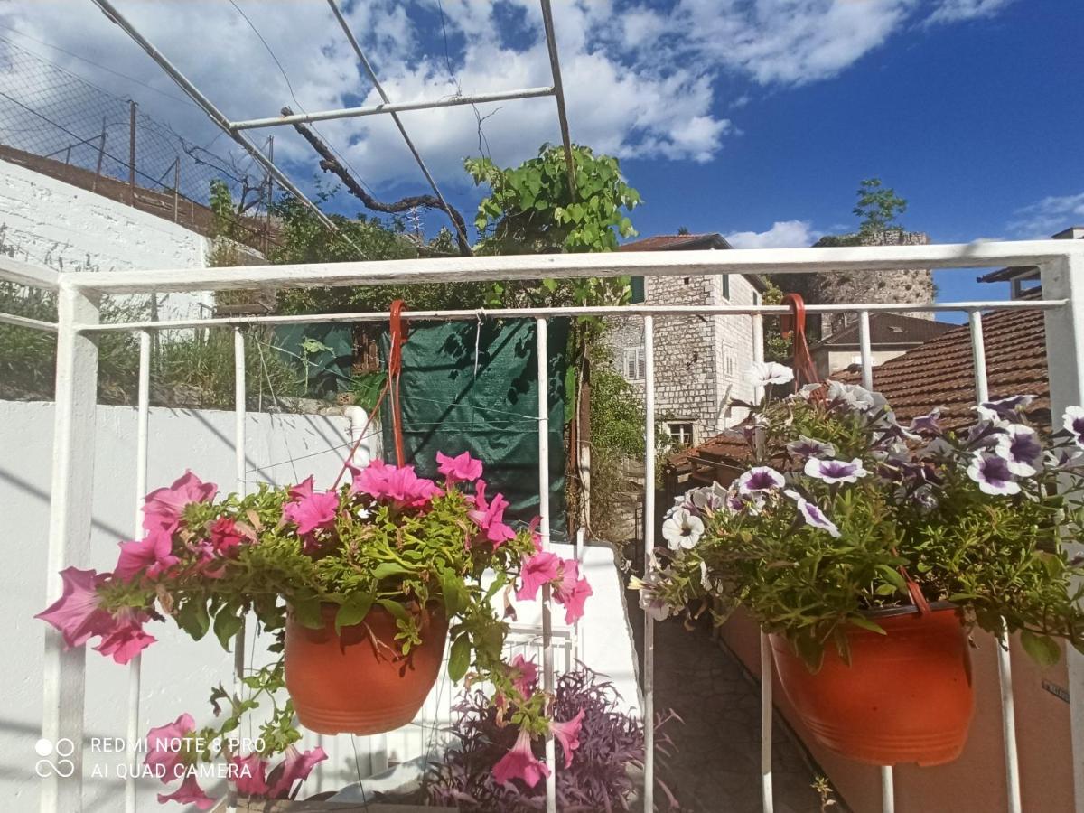 Apartment Cepic Херцег-Нови Экстерьер фото